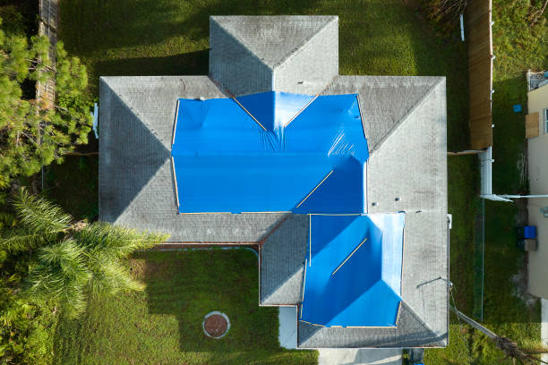 Best Roof Insulation Installation  in Keenesburg, CO