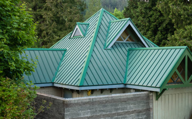 Best Roof Moss and Algae Removal  in Keenesburg, CO